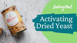 How to Activate Dried Yeast  Baking Mad [upl. by Acisset795]