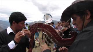 El Mejor Arpista de Pomabamba  Ancash [upl. by Corin]