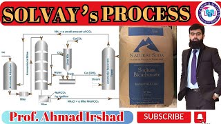 163 Solvays Process  Manufacture of Sodium Carbonate Soda Ash  Class 10th  Chemistry [upl. by Nedrob917]