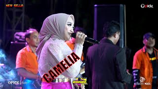 ANISA RAHMA DI CIUM PENYAWER  CAMELIA  NEW SELLA [upl. by Agostino]