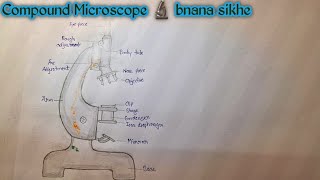 Compound Microscope 🔬 Most important diagram class 9th very easy step by step [upl. by Salli]