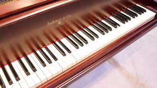 1907 Sohmer Baby Grand Your Song [upl. by Lefkowitz]