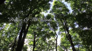 Tony Dekker  Prayer of the Woods Album Preview [upl. by Yentruocal185]