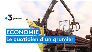 Le quotidien dun grumier en Alsace [upl. by Arras409]