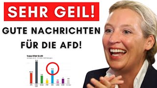 Erste Umfrage nach AmpelAus AfD gewinnt am stärksten [upl. by Nyrhtac796]