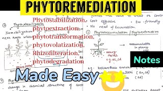 PhytoRemediation  Types methodsnotes 🤩biotechnology [upl. by Ocicnarf]