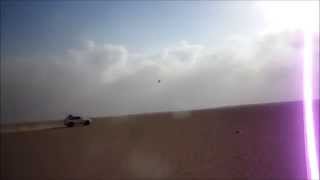 شيلة يقولون قلبك للقنص مقناص الكدري Blackbellied Sandgrouse [upl. by Ayvid348]