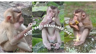 Skinny SnapMention If Hiss Wrong and Healthy Bravo A Tale of Two Monkeys [upl. by Paehpos]