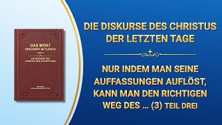 Lesungen der Worte des Allmächtigen Gottes [upl. by Haile]