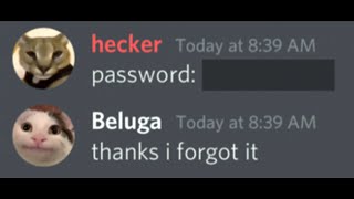 When a Hacker Finds Your Password [upl. by Nedac838]