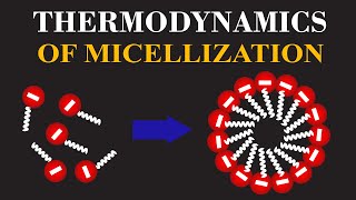 Thermodynamics of Micellization  Mechanism of Action And Their Role in Chemistry  ChemClarity [upl. by Esinad]