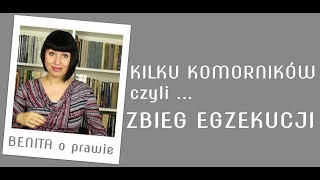 Kilku komorników czyli ZBIEG EGZEKUCJI [upl. by Malinda]