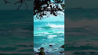 Gorgeous Beach Day  Relaxing Ocean Wave Sounds [upl. by Eilyr]