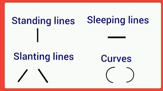 Standing lineSleeping lineSlanting linecurveBasic lines and curve practice in four line book [upl. by Imij]