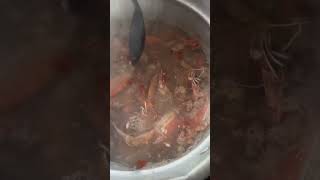 Cocinando mariscada salvadoreña casera youtubeshorts trending funny humor viralvideo [upl. by Asilam963]