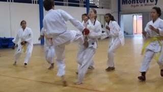 Karate 1 Boy vs 6 Girls Brutal Fight [upl. by Maitland]