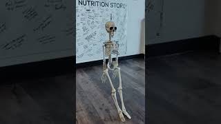 Skelly The Skeleton Visits TNS [upl. by Heriberto]