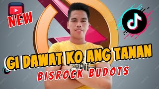 Gidawat Ko Ang Tanan X Bisrock  Disco Budots  DjArkie Remix [upl. by Ailic]