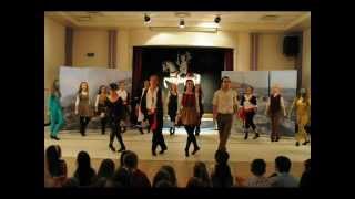 Maguire OShea Academy of Irish Dance ShowReel [upl. by Hooge433]