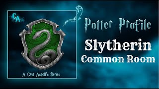 Potter Profile Special on the Slytherin common room  Cast Aspell [upl. by Llechtim]