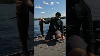 Deep Water Largemouth Bass on the Jig bassfishing largemouthbass largemouthbassfishing fishing [upl. by Arezzini167]