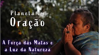 A Força das Matas e a Luz da Natureza  PLANETA EM ORAÇÃO  2103 21h00 [upl. by Clova]