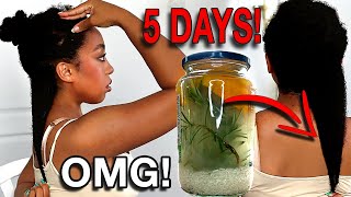 How To Make Rice Water  5 Ways Without Wasting Your Rice [upl. by Cahilly]