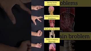 Hand exercises for organs [upl. by Ellirpa]