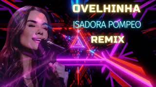 Ovelhinha  Isadora Pompeo Remix By DS Project 2024 [upl. by Nazler]