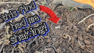 HeartPounding Winter Hedgerow Discovery Metal detecting uk [upl. by Genny]