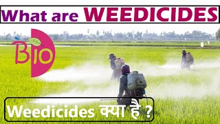 What are weedicides Weedicides क्या है by Simply The Best BIO [upl. by Thomas]