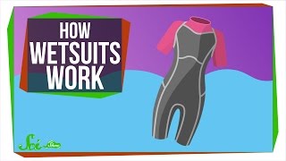 How Do Wetsuits Keep You Warm [upl. by Etnovert]