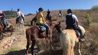 Riding in Tuscany Italy Day 3  I review horse trekkingdressage in Europe  HorsesTravelLifestyle [upl. by Erleena]