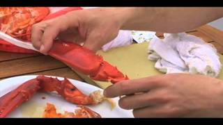 How to eat a lobster [upl. by Lesley855]