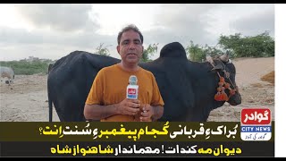 Buraq e Qurbani Kujam Pegammbar e Sunnat enlDeewan Makande l ShahNawaz Shah l Gwadar City News [upl. by Trawets778]