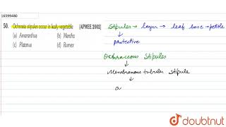 Ochreate stipules occur in leafy vegetable [upl. by Eatnom]