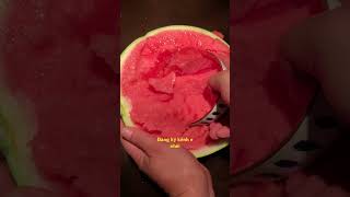 Wow watermelon  quá phê bonsai bonsaitree fruit watermelon [upl. by Nikaniki195]