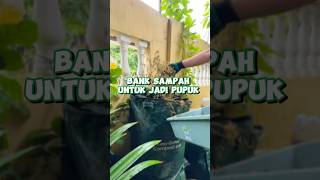 Lubang ajaib penghasil pupuk tanaman [upl. by Aiahc]