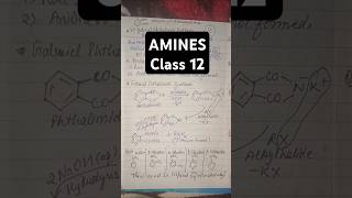 Kyu Gabriel phthalimide synthesis se Aniline nhi banta amines class12 chemistryReasoning Question [upl. by Sydney]