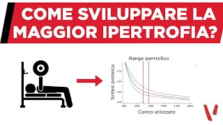 Come sviluppare la maggior ipertrofia muscolare [upl. by Dinah]