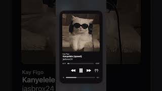 Kay Figo  Kanyelele spotify lyrics song [upl. by Abita]