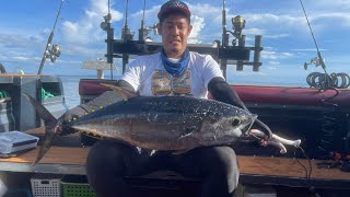 Fishing charters now available Yellowfin tuna trevallies thresher sharks giant groupers caught [upl. by Assirol281]