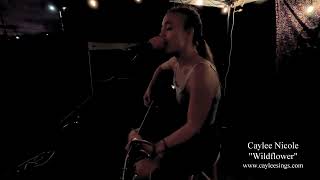 Wildflower  Performed by Caylee Nicole [upl. by Atekram]