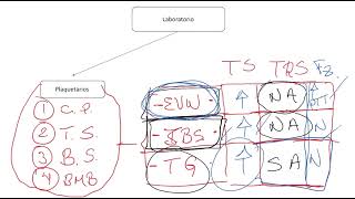 Fisiopatología y Clasifiacion de los Trastornos de la Coagulación [upl. by Benton]