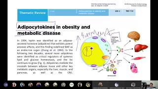 Origen del cáncer en la Obesidad Parte 1 [upl. by Lemaj]