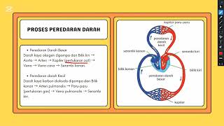 Sistem Peredaran Darah Manusia [upl. by Aikemit188]