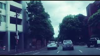 Surry Hills Cleveland St Pyrmont Anzac Bridge Crossing Sydney Roads [upl. by Dunning]