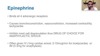 Effect of Epinephrine and NorEpinephrine on the Cardiovascular System [upl. by Auvil]