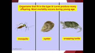 LE 136 What Are the Differences Between Type I Type II and Type III Survivorship Curves [upl. by Neve]