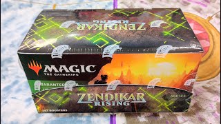 Zendikar Rising Set Booster Box [upl. by Yremogtnom]